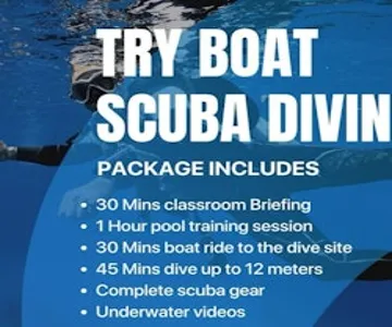 Dubai: Scuba Diving Boat Tour